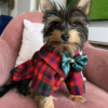 Camisa Cuadros para perro